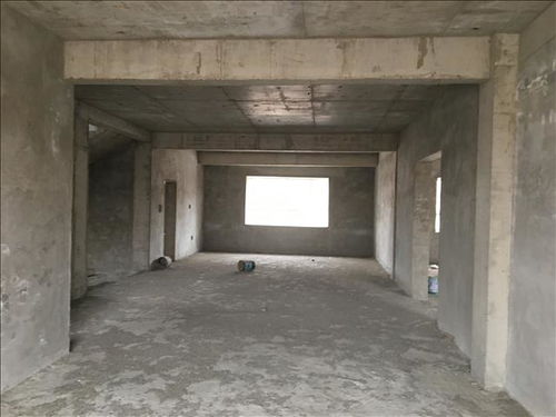 濮阳培训机构抗震检测正规靠谱新闻资讯