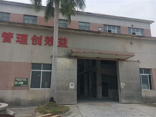 陇南市建筑房屋安全检测怎么收费 陇南新闻